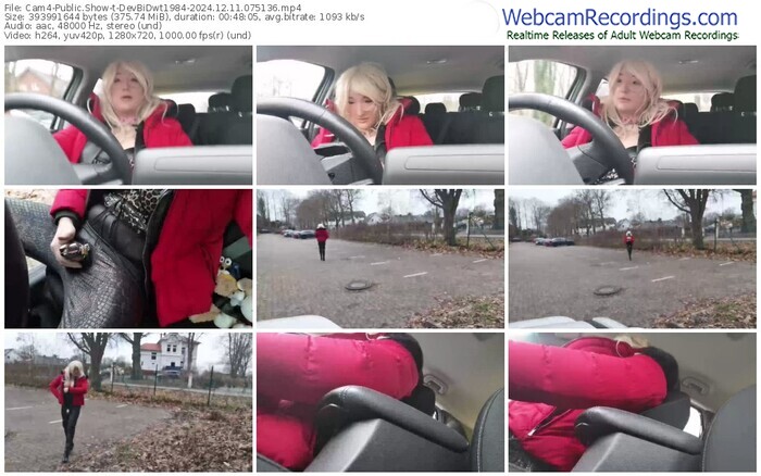 cam4-devbidwt1984-12-11-2024-07-51-36