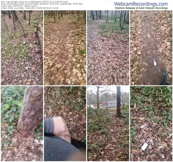 cam4-outdoorgeil1-12-12-2024-12-22-49