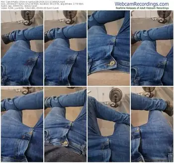 cam4-vanluiz28-12-12-2024-16-58-25