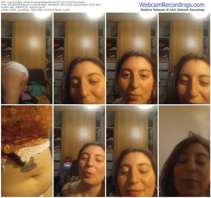 cam4-vulvamaldadosa-12-13-2024-06-37-42