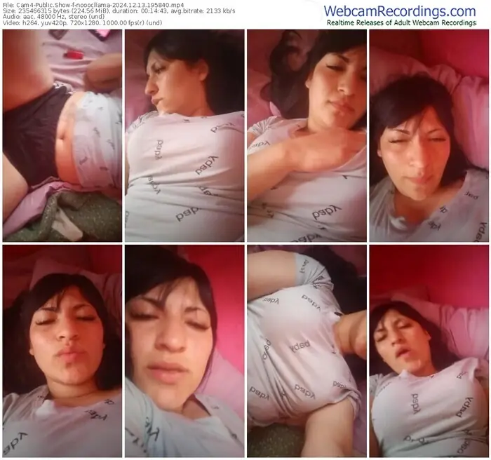 cam4-nooocllama-12-13-2024-19-58-40