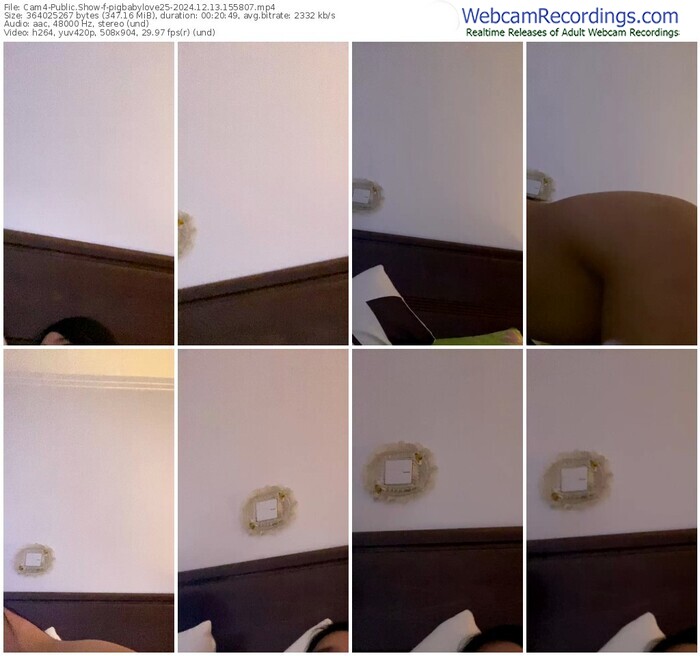 cam4-pigbabylove25-12-13-2024-15-58-07