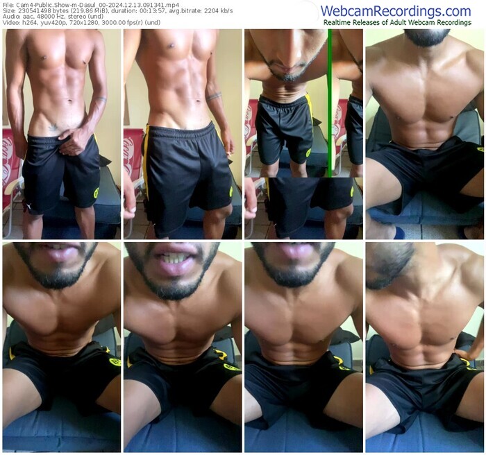 cam4-dasul_00-12-13-2024-09-13-41