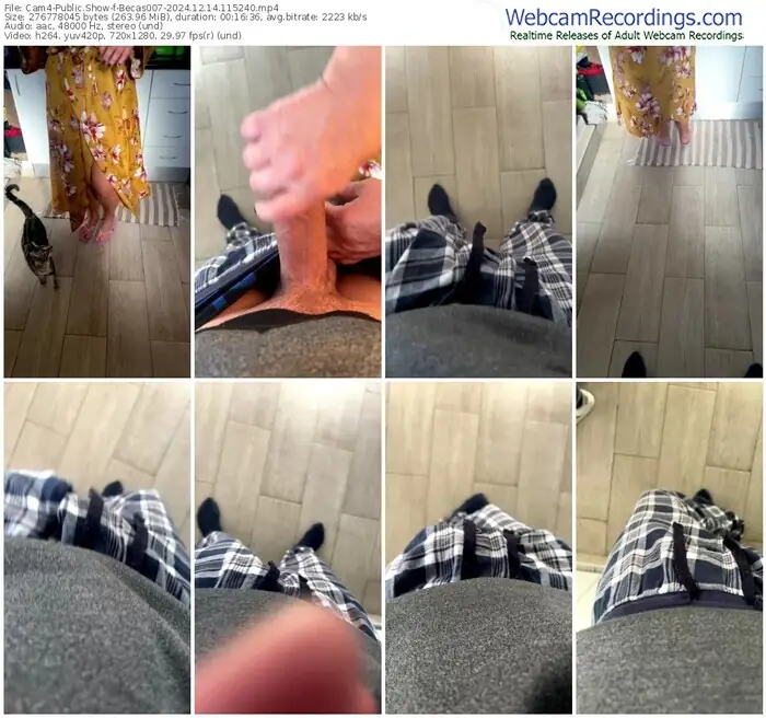 cam4-becas007-12-14-2024-11-52-40