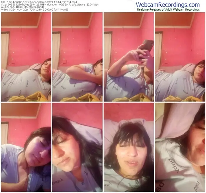 cam4-nooocllama-12-14-2024-03-32-54