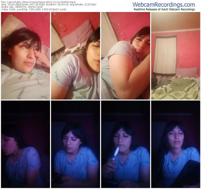 cam4-nooocllama-12-14-2024-03-46-33