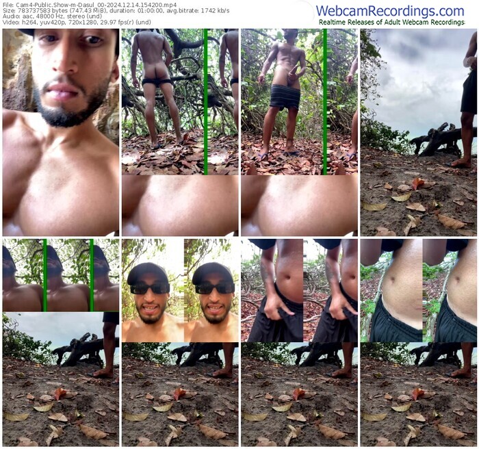 cam4-dasul_00-12-14-2024-15-42-00