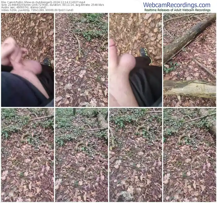 cam4-outdoorgeil1-12-14-2024-11-43-27