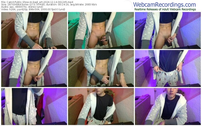 cam4-kael_art-12-14-2024-06-12-45