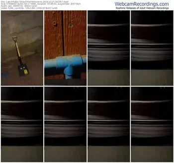 cam4-merlotinvierno-12-15-2024-04-25-57