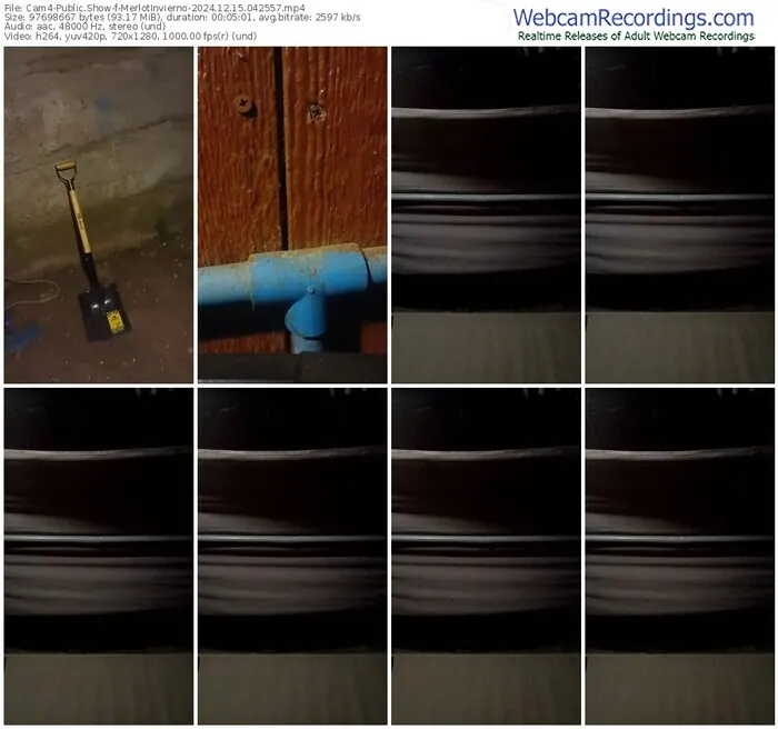 cam4-merlotinvierno-12-15-2024-04-25-57