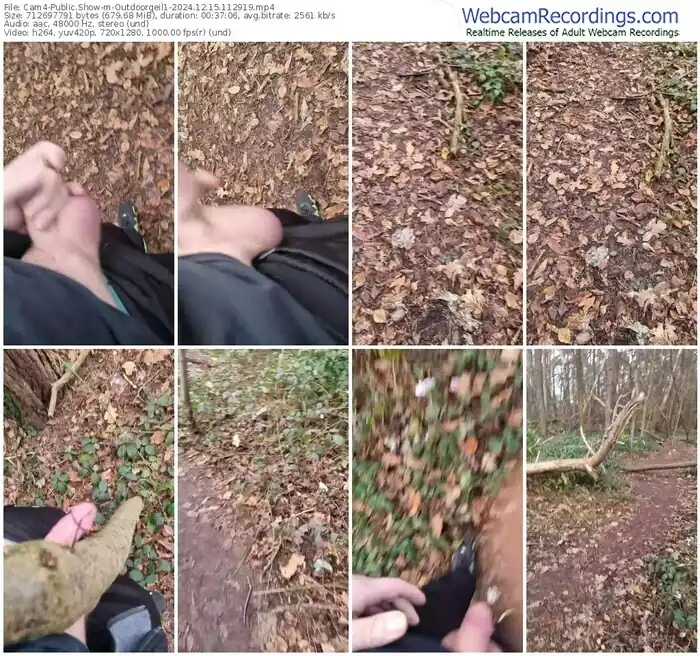cam4-outdoorgeil1-12-15-2024-11-29-19
