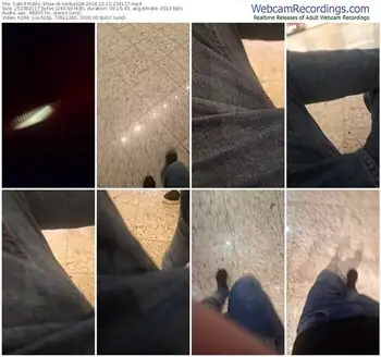 cam4-vanluiz28-12-15-2024-23-41-27