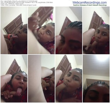 cam4-l_lily-12-17-2024-02-31-09