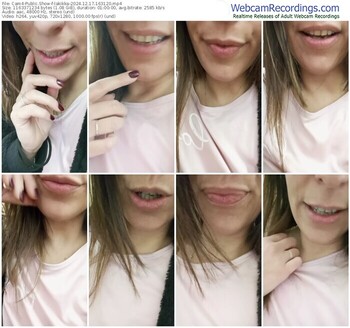 cam4-lakikka-12-17-2024-16-31-20