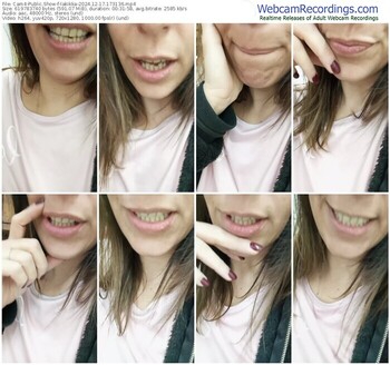 cam4-lakikka-12-17-2024-17-31-36