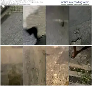 cam4-allyson20345-12-17-2024-03-21-27