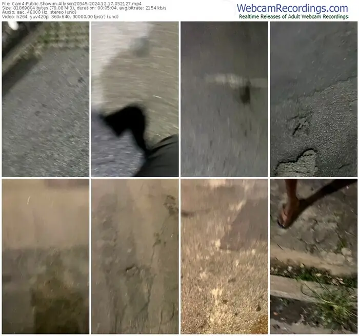 cam4-allyson20345-12-17-2024-03-21-27