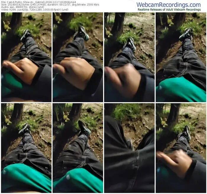 cam4-_gabriell-12-17-2024-00-29-08