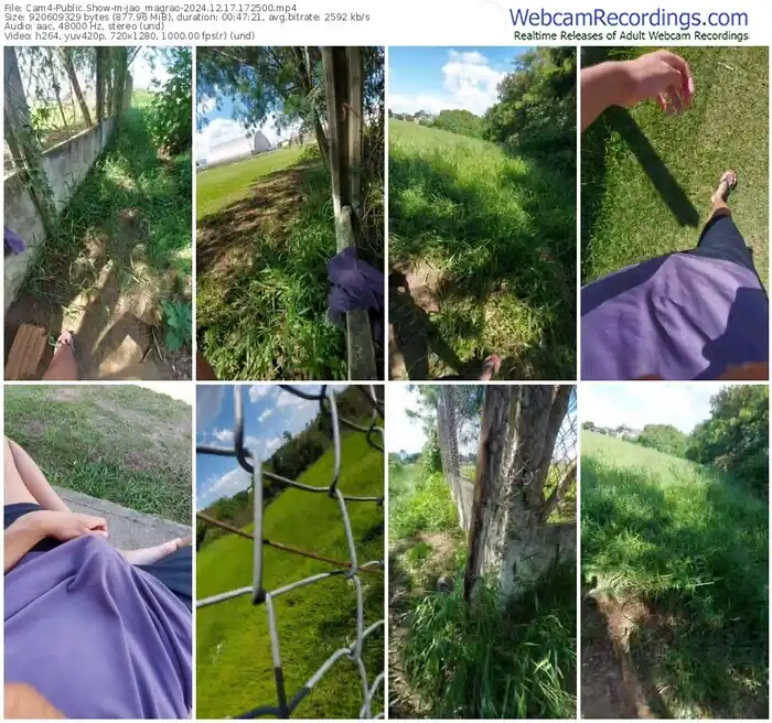 cam4-jao_magrao-12-17-2024-17-25-00