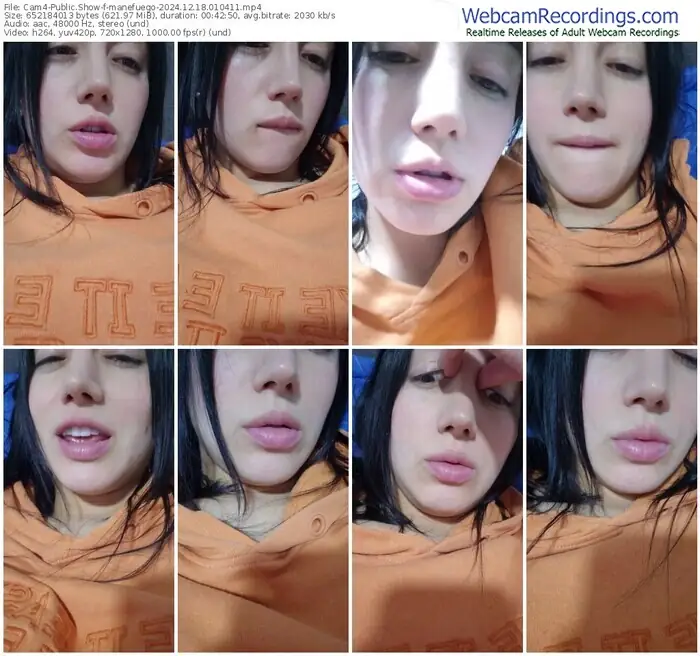 cam4-manefuego-12-18-2024-01-04-11