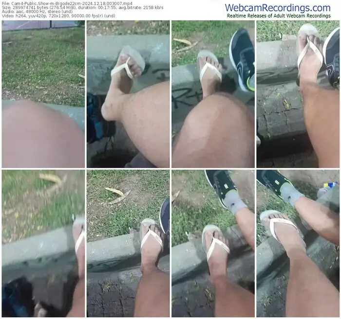 cam4-bigode22cm-12-18-2024-00-30-07