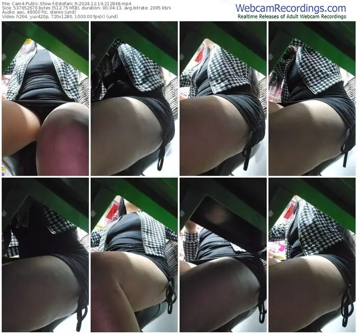 cam4-estefani_r-12-19-2024-21-28-48