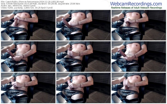 cam4-fenicerossa-12-20-2024-18-31-28