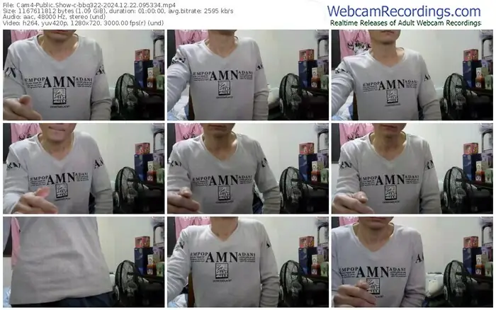 cam4-bbq322-12-22-2024-09-53-34