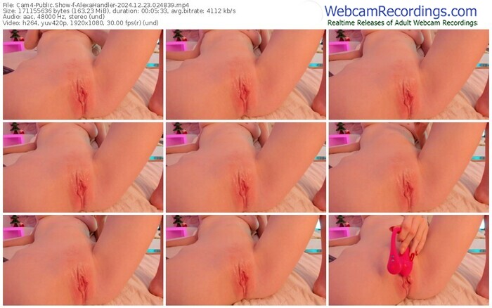 cam4-alexahandler-12-23-2024-02-48-39