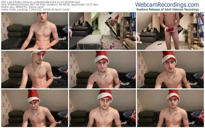 cam4-cookieboy88-12-23-2024-20-32-08