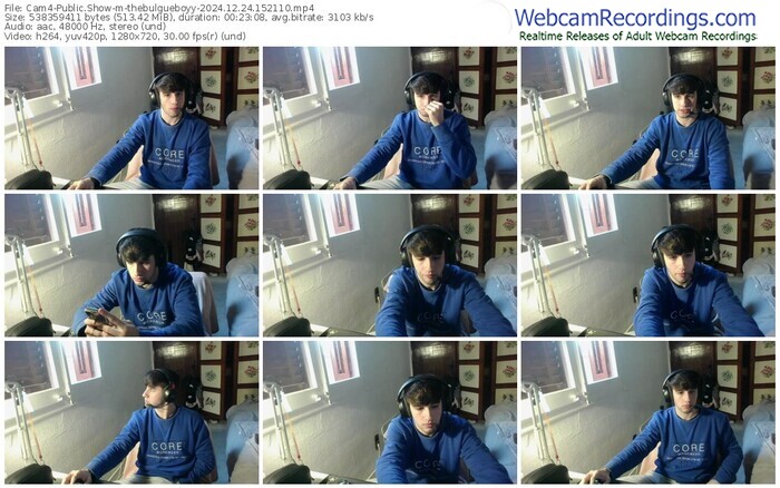 cam4-thebulgueboyy-12-24-2024-15-21-10