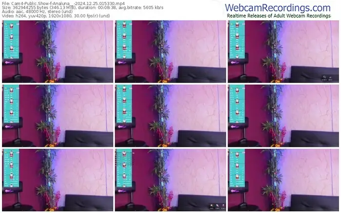 cam4-analuna__-12-25-2024-01-53-30