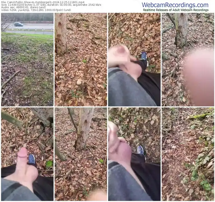 cam4-outdoorgeil1-12-25-2024-11-18-01