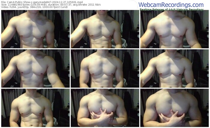 cam4-ganymede847-12-27-2024-10-56-01