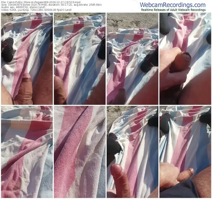 cam4-pegaso369-12-27-2024-13-15-19