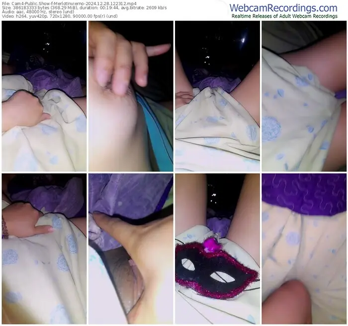 cam4-merlotinvierno-12-28-2024-12-23-12