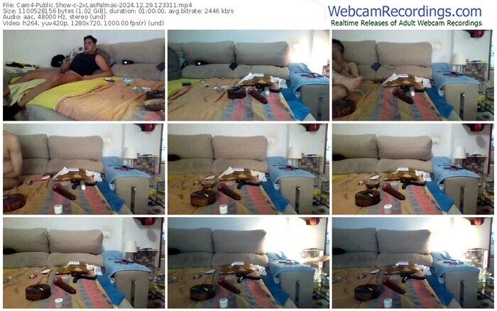cam4-2xlaspalmas-12-29-2024-12-33-11