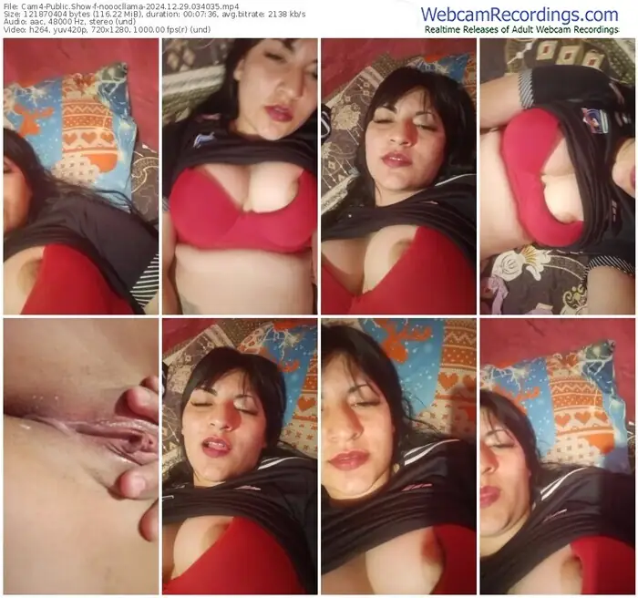 cam4-nooocllama-12-29-2024-03-40-35