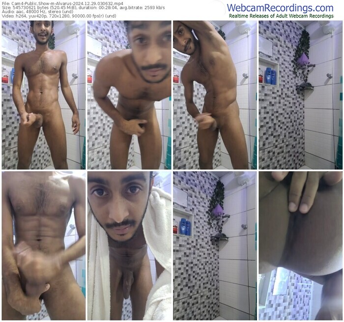 cam4-alvarus-12-29-2024-03-06-32