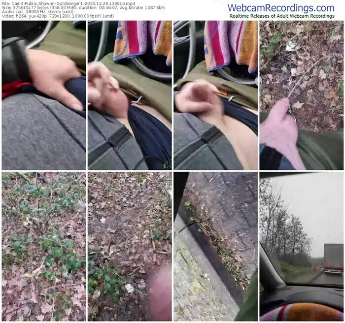 cam4-outdoorgeil1-12-29-2024-13-06-16
