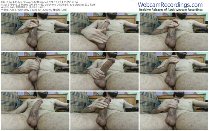 cam4-hottshark-12-29-2024-12-52-55