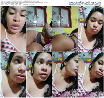 cam4-abril24_fun-12-30-2024-12-26-20