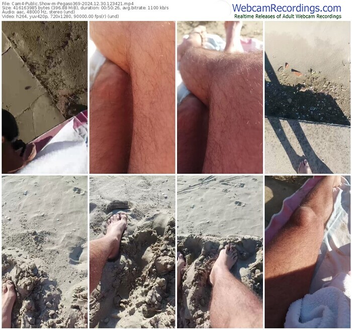 cam4-pegaso369-12-30-2024-12-34-21