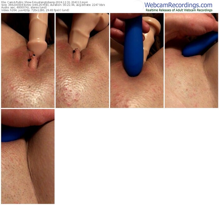 cam4-mustangtobang-12-31-2024-20-41-12