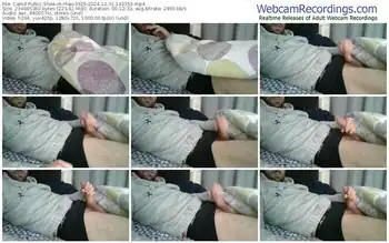 cam4-maxi3329-12-31-2024-14-33-53