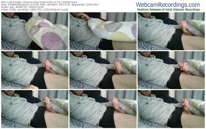 cam4-maxi3329-12-31-2024-14-33-53