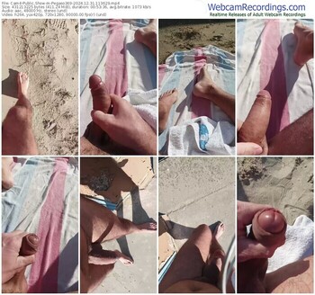 cam4-pegaso369-12-31-2024-11-36-29