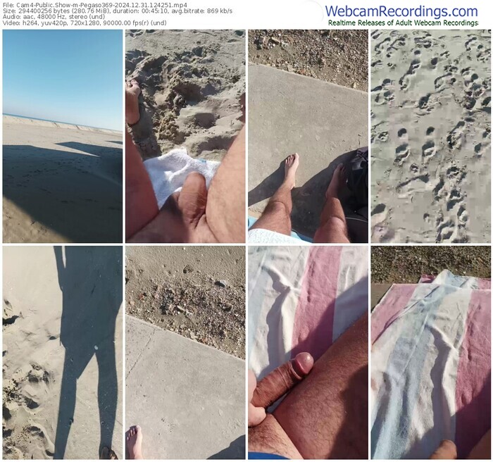 cam4-pegaso369-12-31-2024-12-42-51