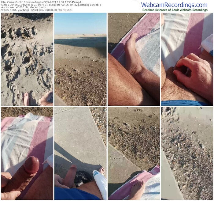 cam4-pegaso369-12-31-2024-13-30-45